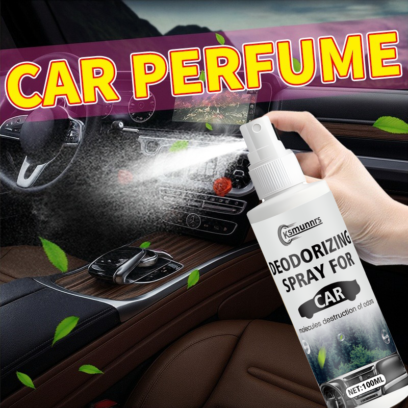 Long-lasting Air Freshener and – Odor Eliminator Car Bewertung und Preis